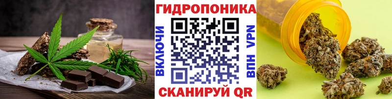 закладка  Нестеров  OMG ONION  Canna-Cookies конопля 