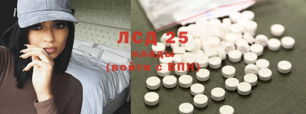 сатива Армянск