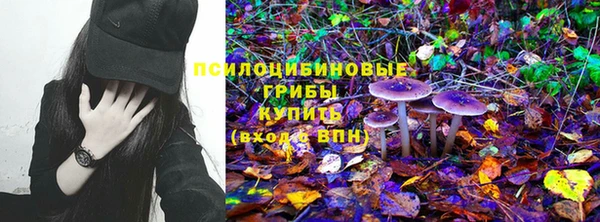 сатива Армянск