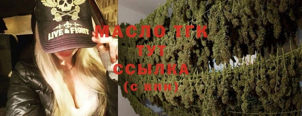 ГАЛЛЮЦИНОГЕННЫЕ ГРИБЫ Аркадак