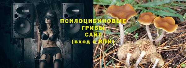 ГАЛЛЮЦИНОГЕННЫЕ ГРИБЫ Аркадак