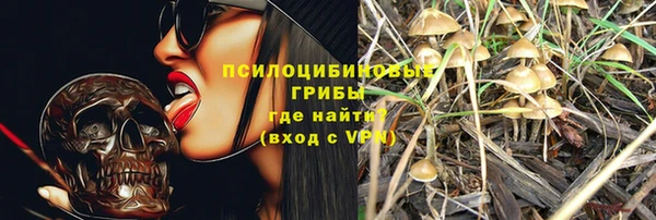 mdpv Арсеньев
