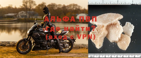 сатива Армянск