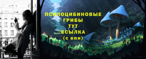 сатива Армянск
