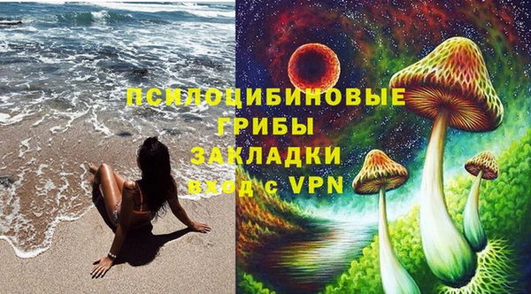 сатива Армянск