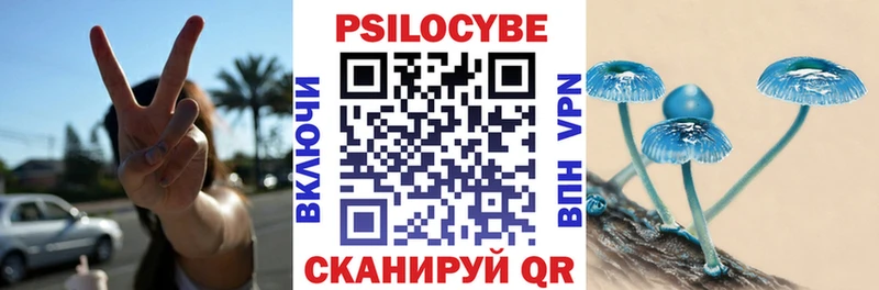 блэк спрут ссылка Нестеров Псилоцибиновые грибы GOLDEN TEACHER